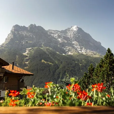 The Bergidyll - Grindelhomes Apartment *